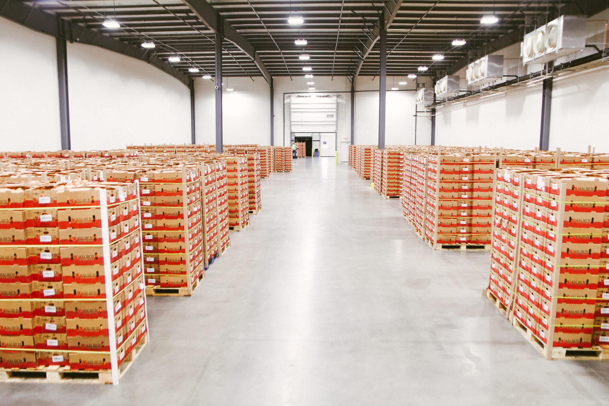 Produce packaging line with labeled cases prepared for outbound shipping