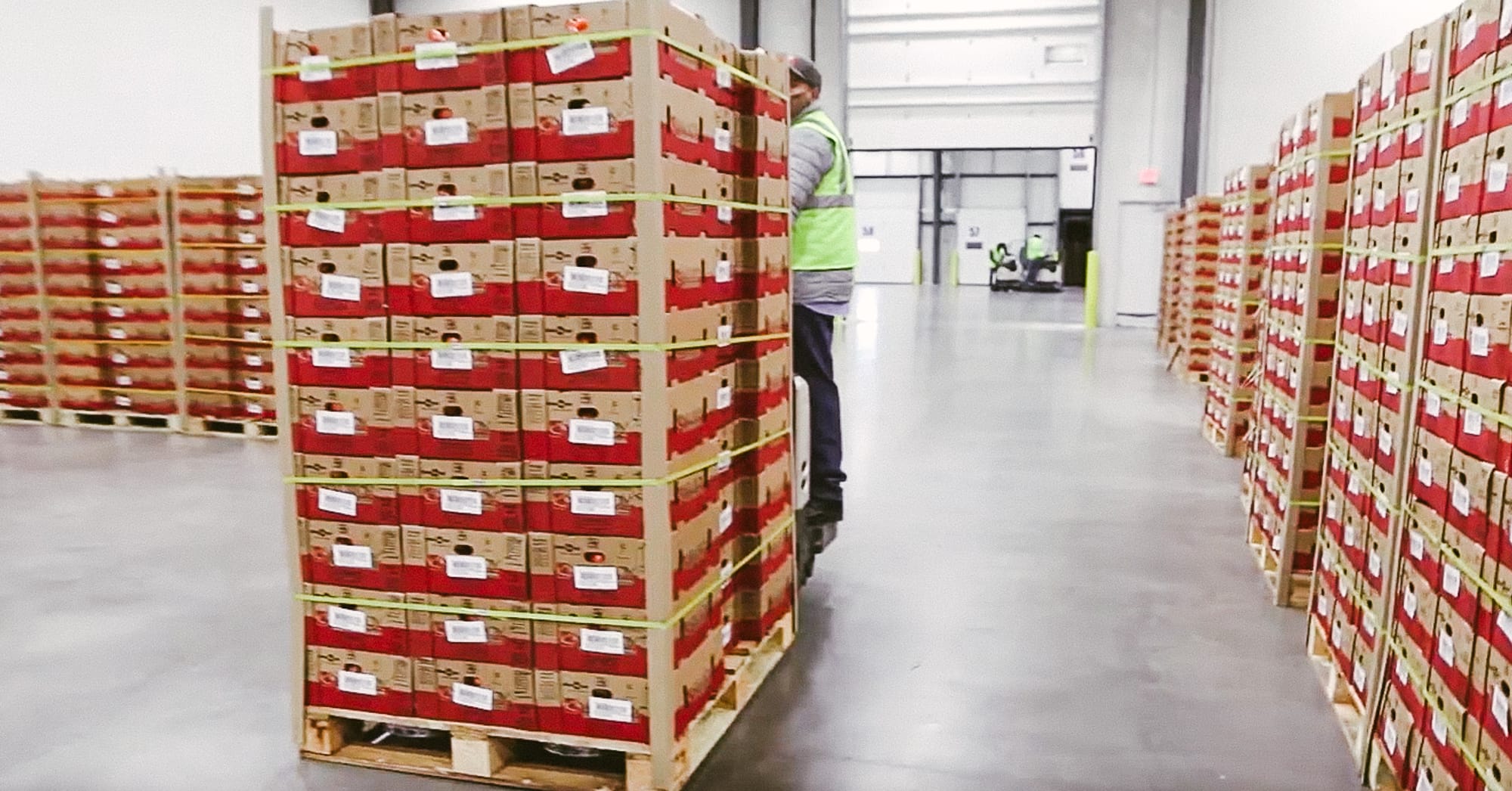 Close view of produce case labeling and packaging in a packing facility